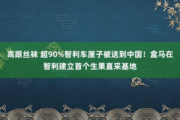 高跟丝袜 超90%智利车厘子被送到中国！盒马在智利建立首个生果直采基地