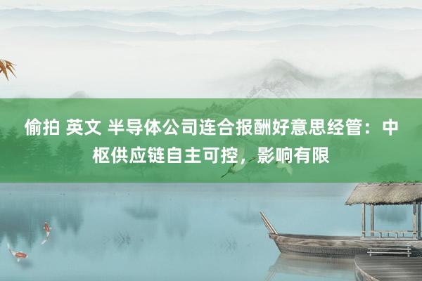 偷拍 英文 半导体公司连合报酬好意思经管：中枢供应链自主可控，影响有限