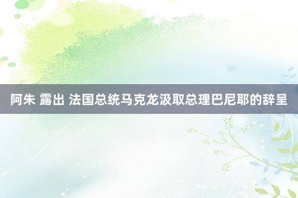 阿朱 露出 法国总统马克龙汲取总理巴尼耶的辞呈