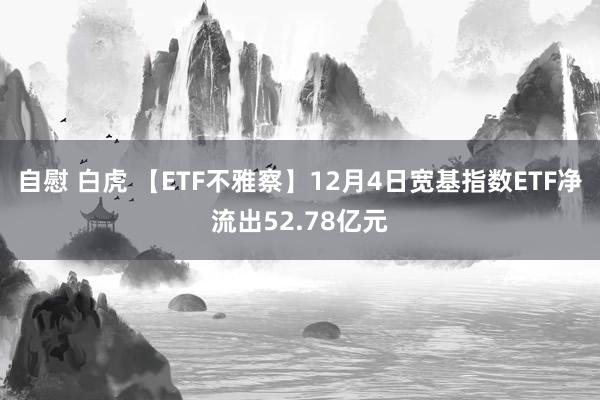 自慰 白虎 【ETF不雅察】12月4日宽基指数ETF净流出52.78亿元