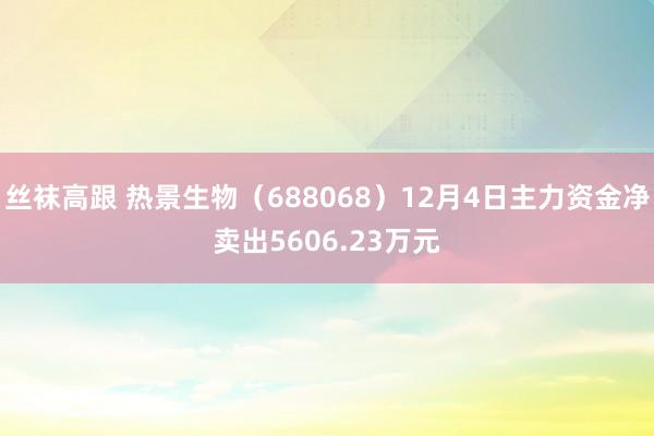 丝袜高跟 热景生物（688068）12月4日主力资金净卖出5606.23万元