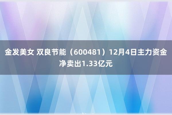 金发美女 双良节能（600481）12月4日主力资金净卖出1.33亿元