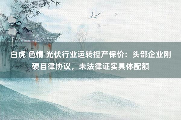 白虎 色情 光伏行业运转控产保价：头部企业刚硬自律协议，未法律证实具体配额