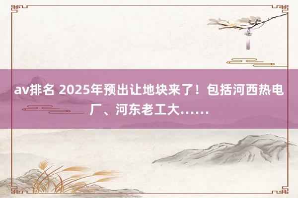 av排名 2025年预出让地块来了！包括河西热电厂、河东老工大……