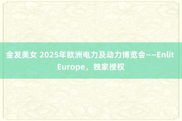 金发美女 2025年欧洲电力及动力博览会——Enlit Europe，独家授权