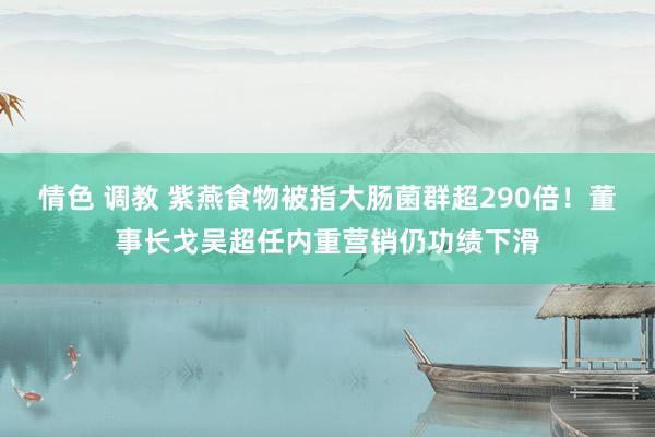 情色 调教 紫燕食物被指大肠菌群超290倍！董事长戈吴超任内重营销仍功绩下滑