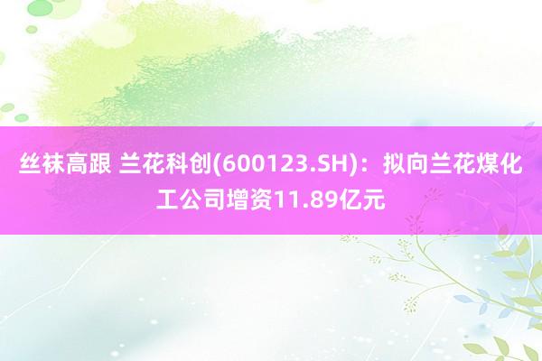 丝袜高跟 兰花科创(600123.SH)：拟向兰花煤化工公司增资11.89亿元