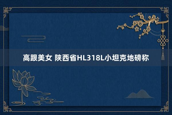 高跟美女 陕西省HL318L小坦克地磅称