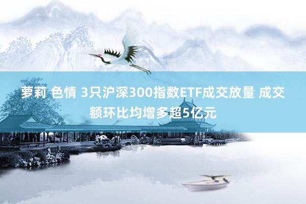 萝莉 色情 3只沪深300指数ETF成交放量 成交额环比均增多超5亿元