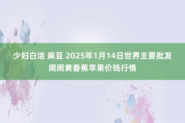 少妇白洁 麻豆 2025年1月14日世界主要批发阛阓黄香蕉苹果价钱行情