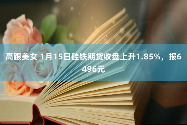 高跟美女 1月15日硅铁期货收盘上升1.85%，报6496元